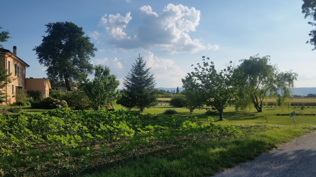 سبيلّو B&B Le Rose المظهر الخارجي الصورة